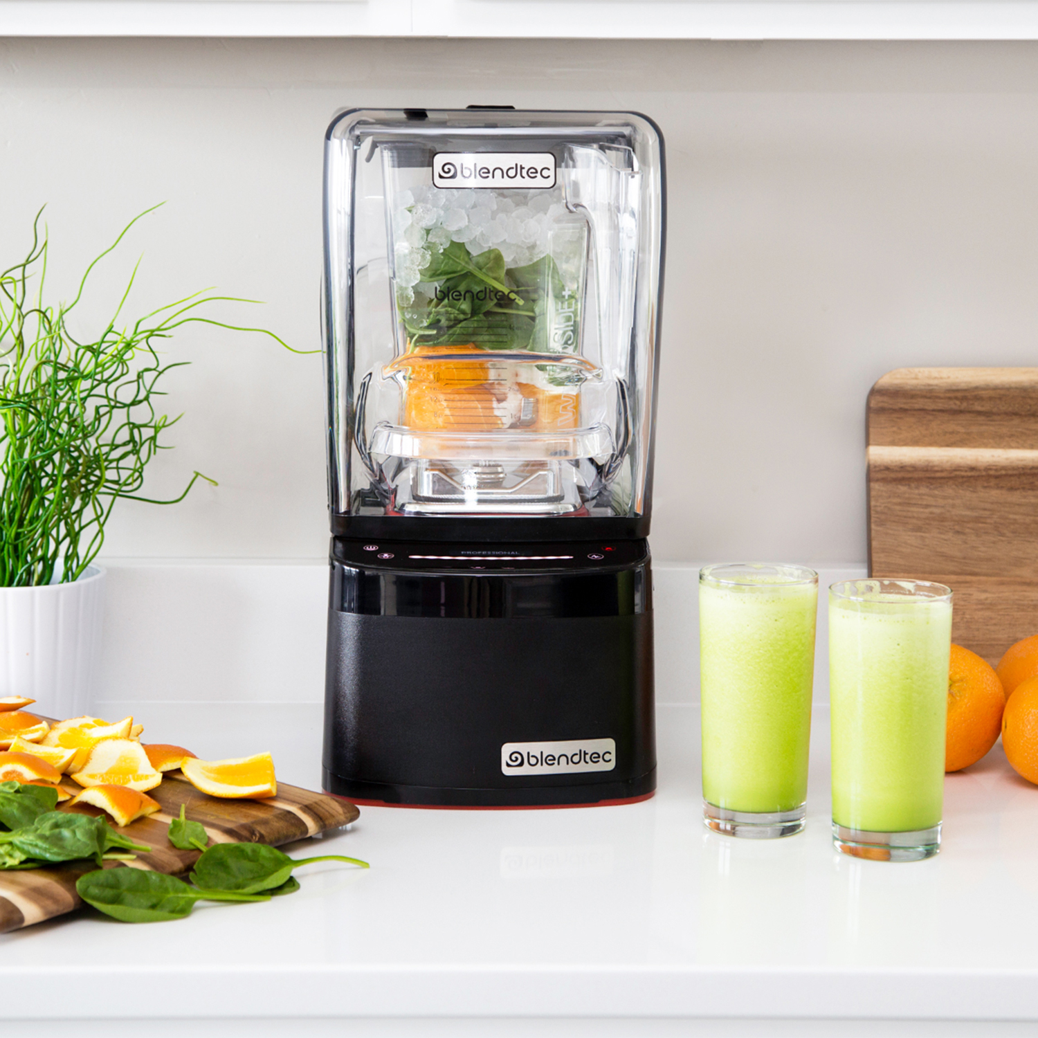 Blendtec Professional 800